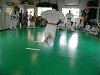 tyakata (135)_samu.gif